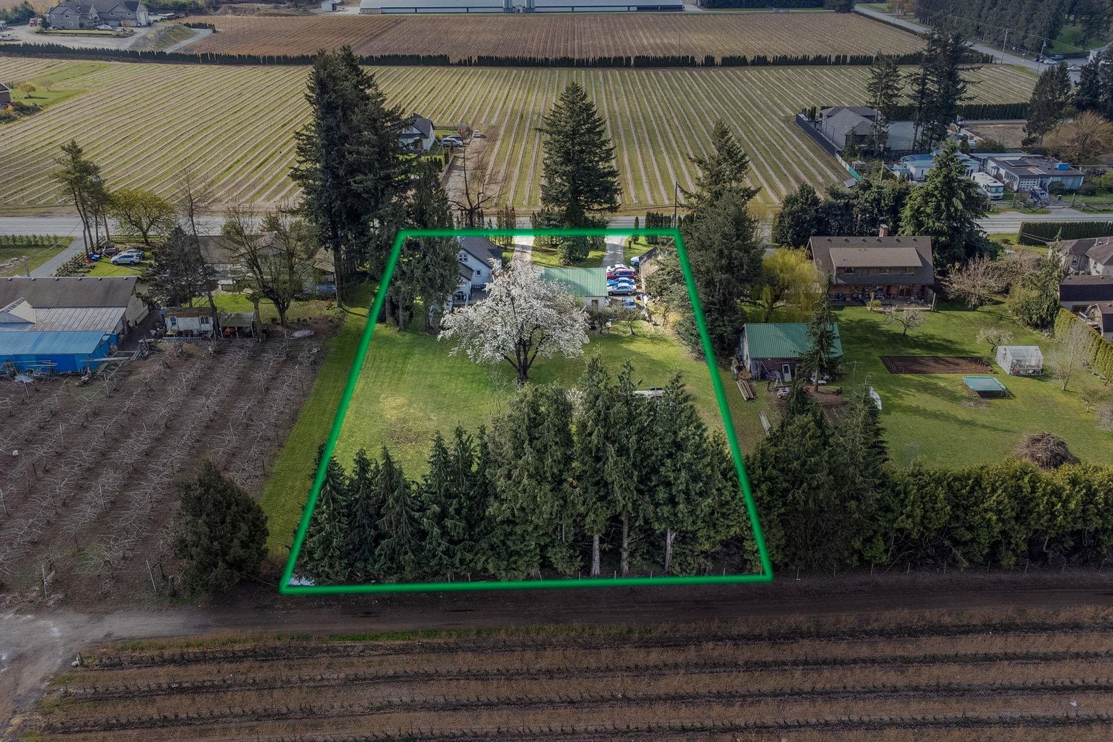 Listing Image 3