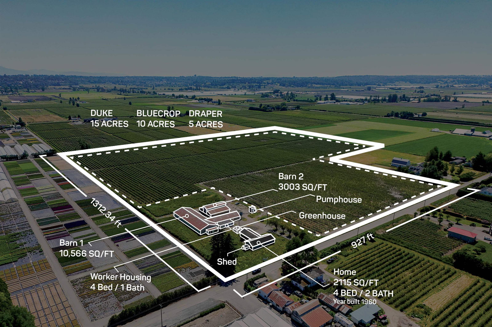 Listing Image 1