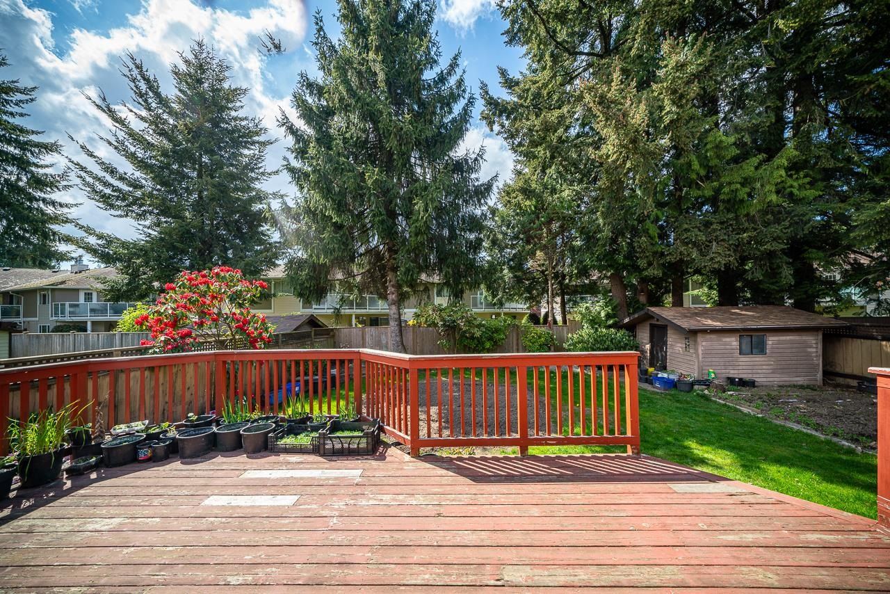 Listing Image 18