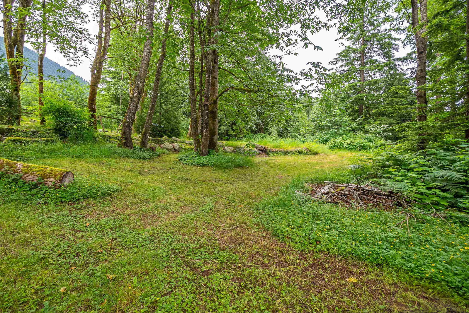 Listing Image 40