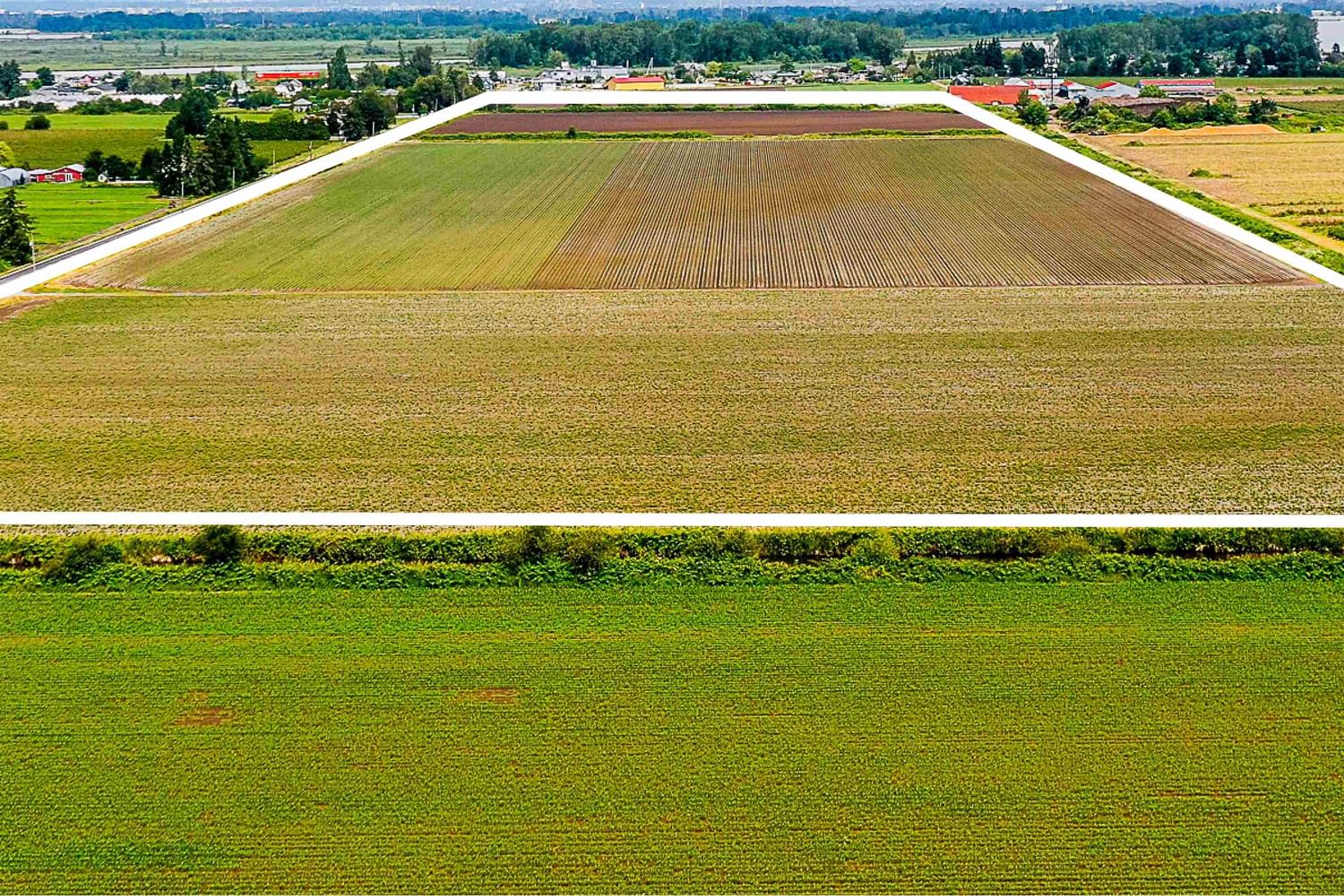 Listing Image 29