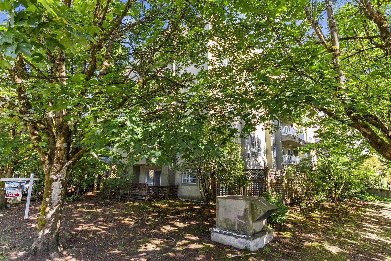Listing Image 20