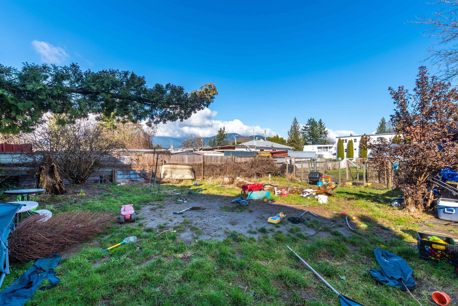Listing Image 6