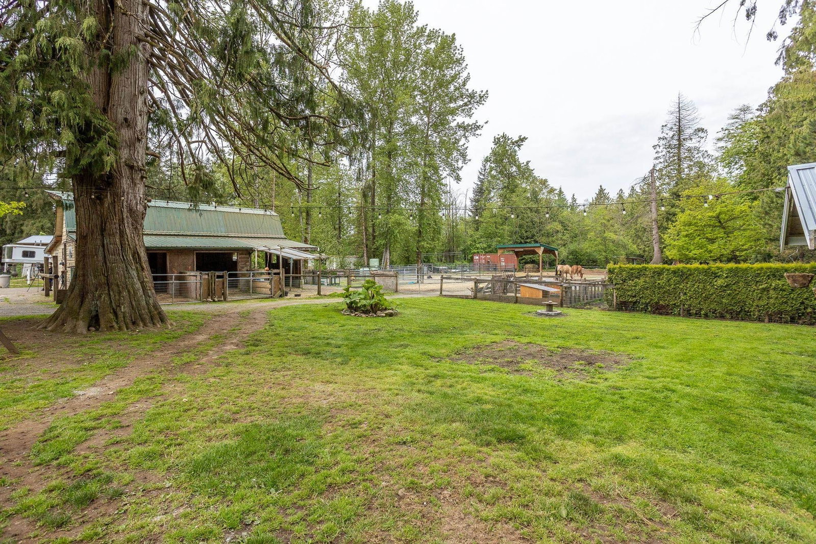Listing Image 36