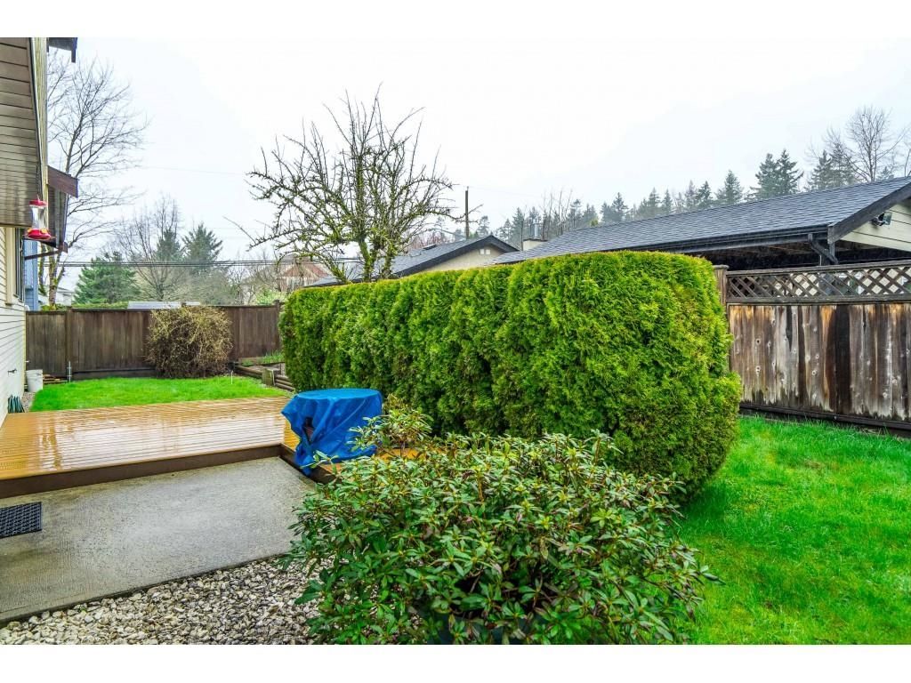 Listing Image 33