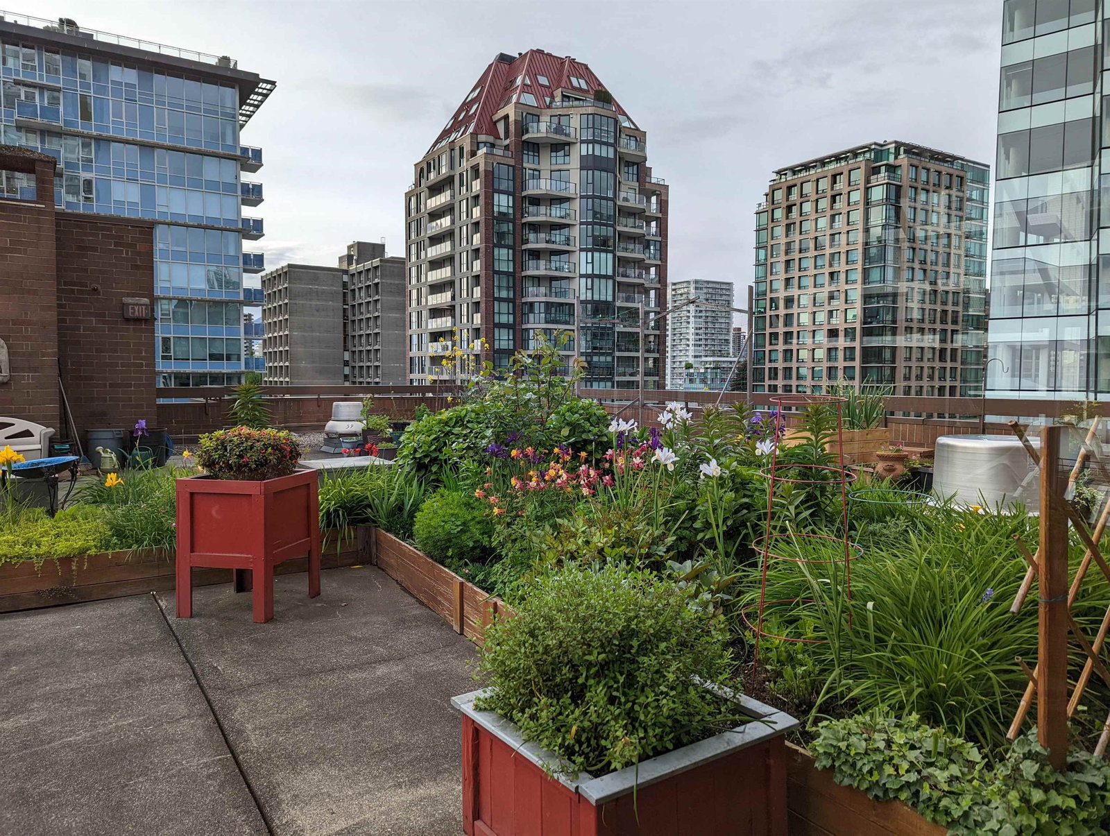 Listing Image 15