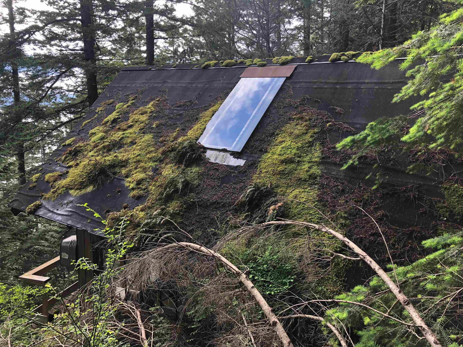 Listing Image 8