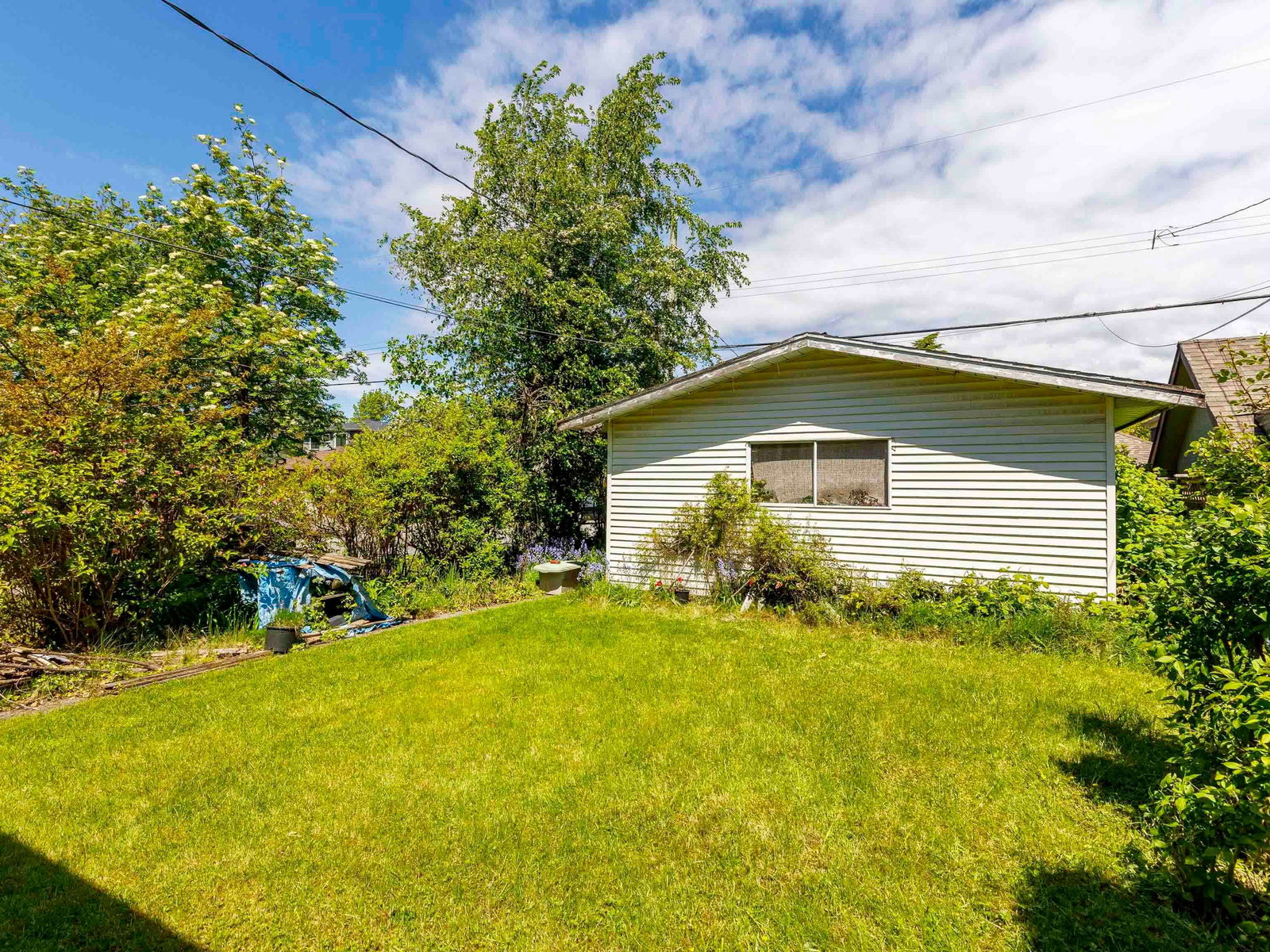 Listing Image 22