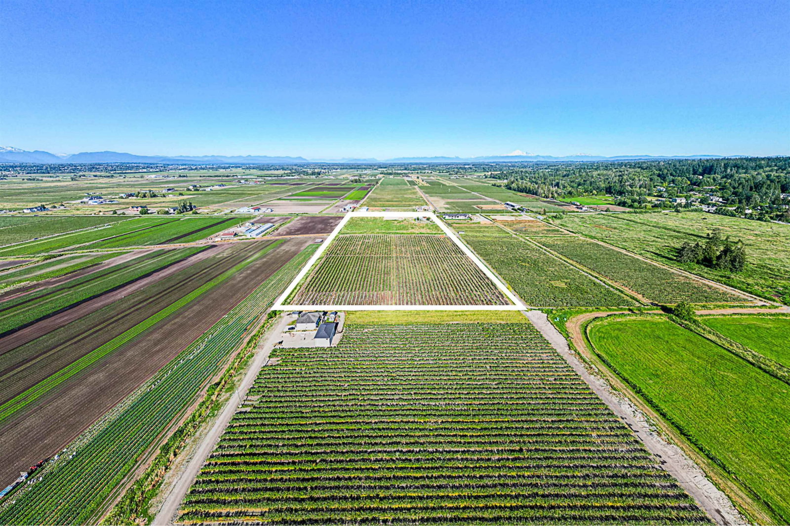 Listing Image 27