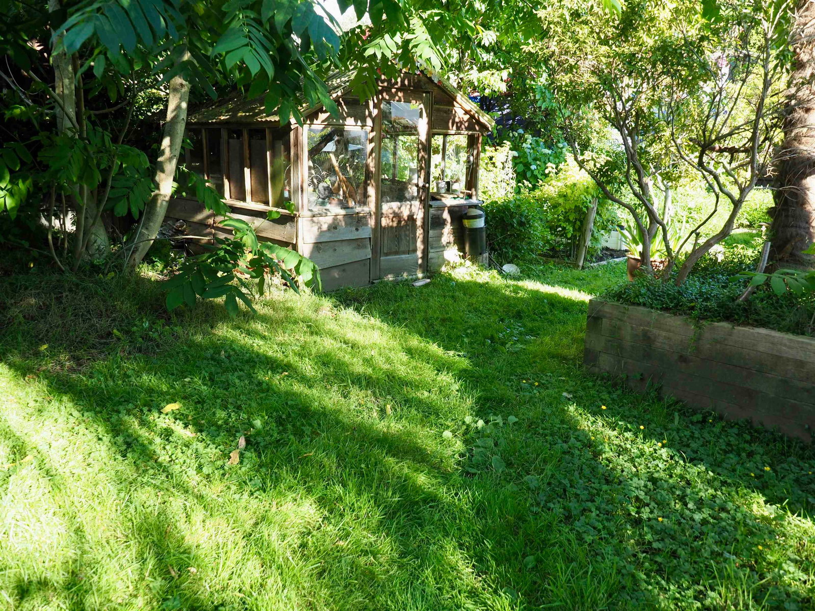 Listing Image 6