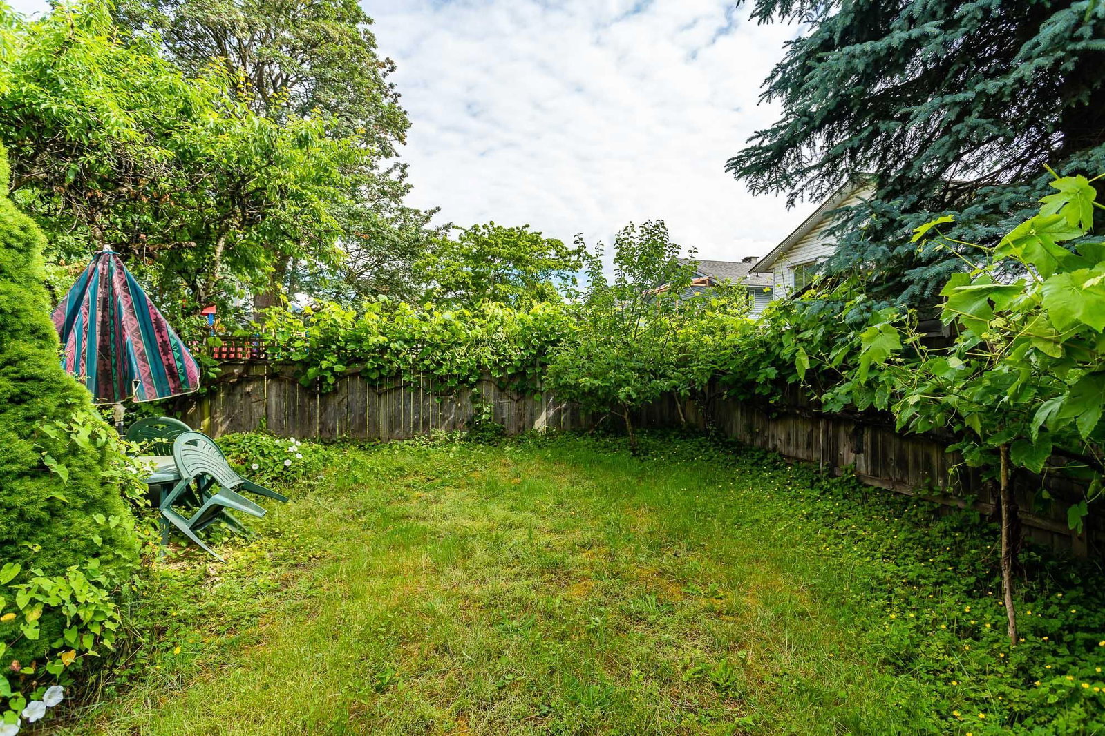 Listing Image 15