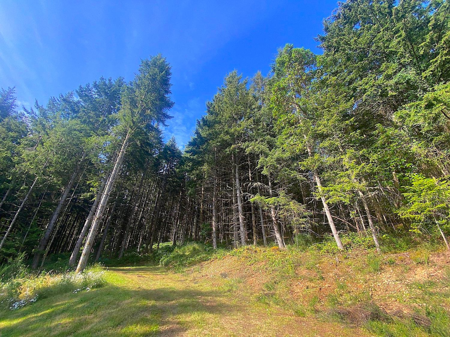 Listing Image 24