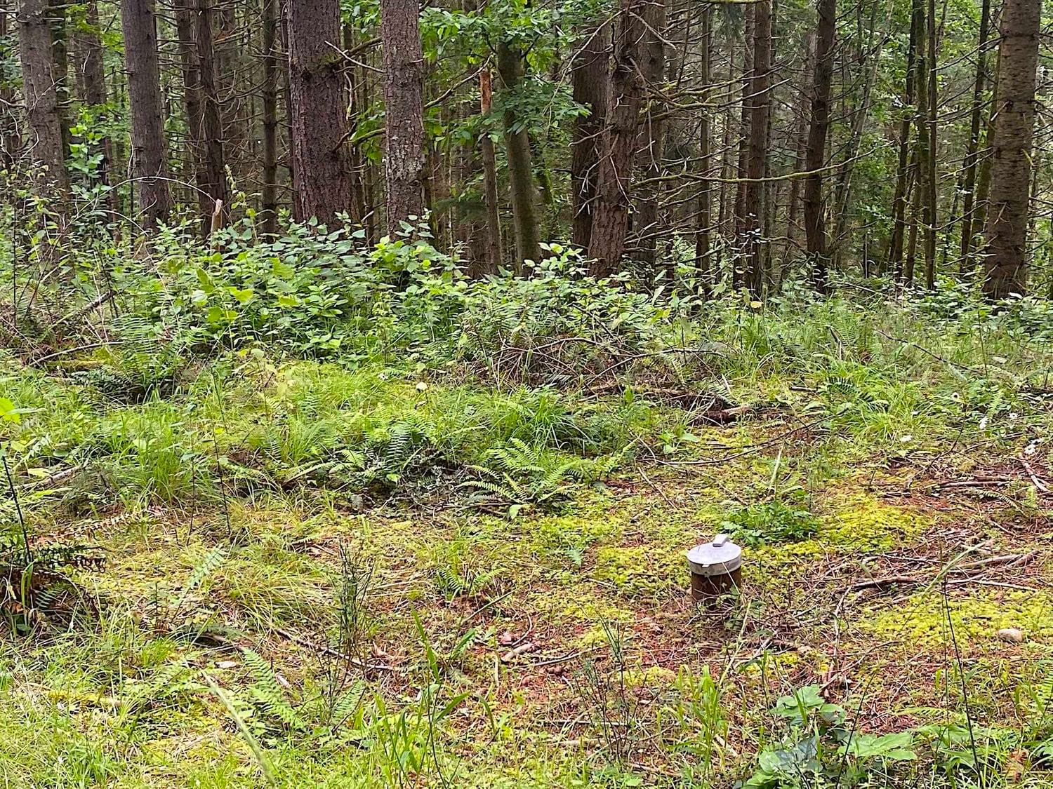 Listing Image 25