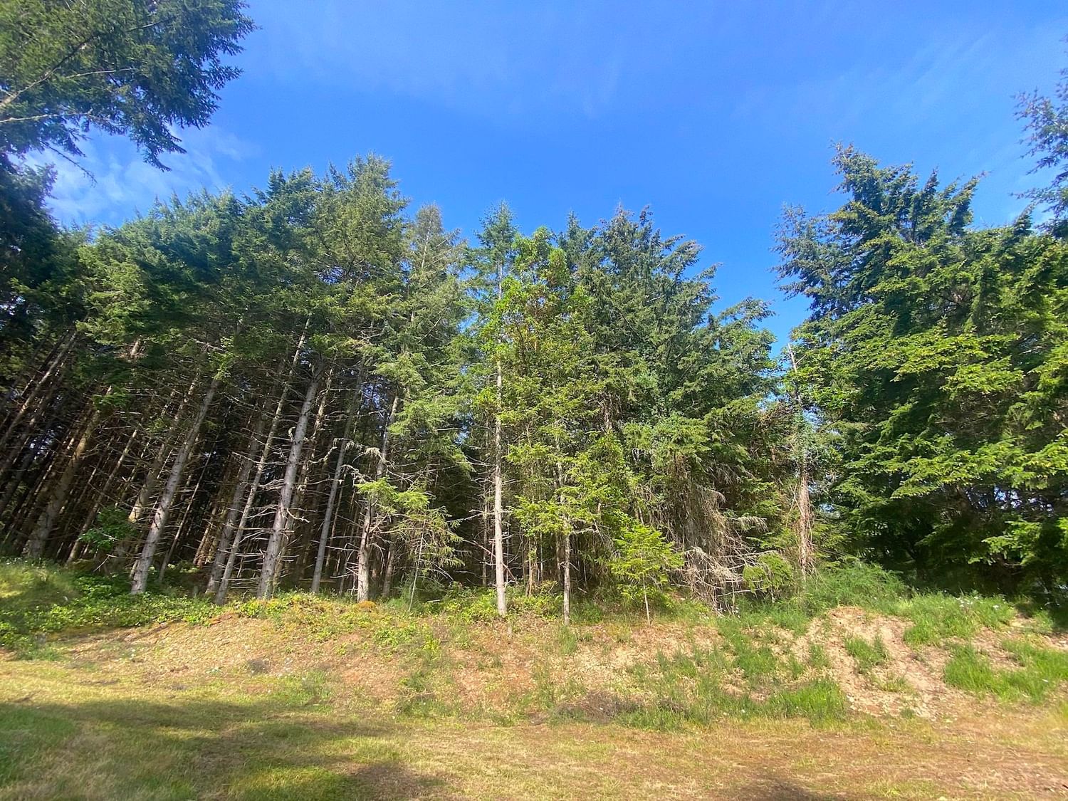 Listing Image 27