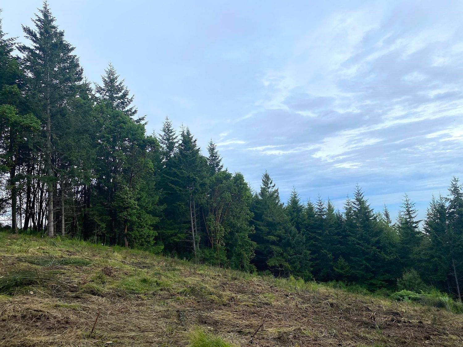 Listing Image 28