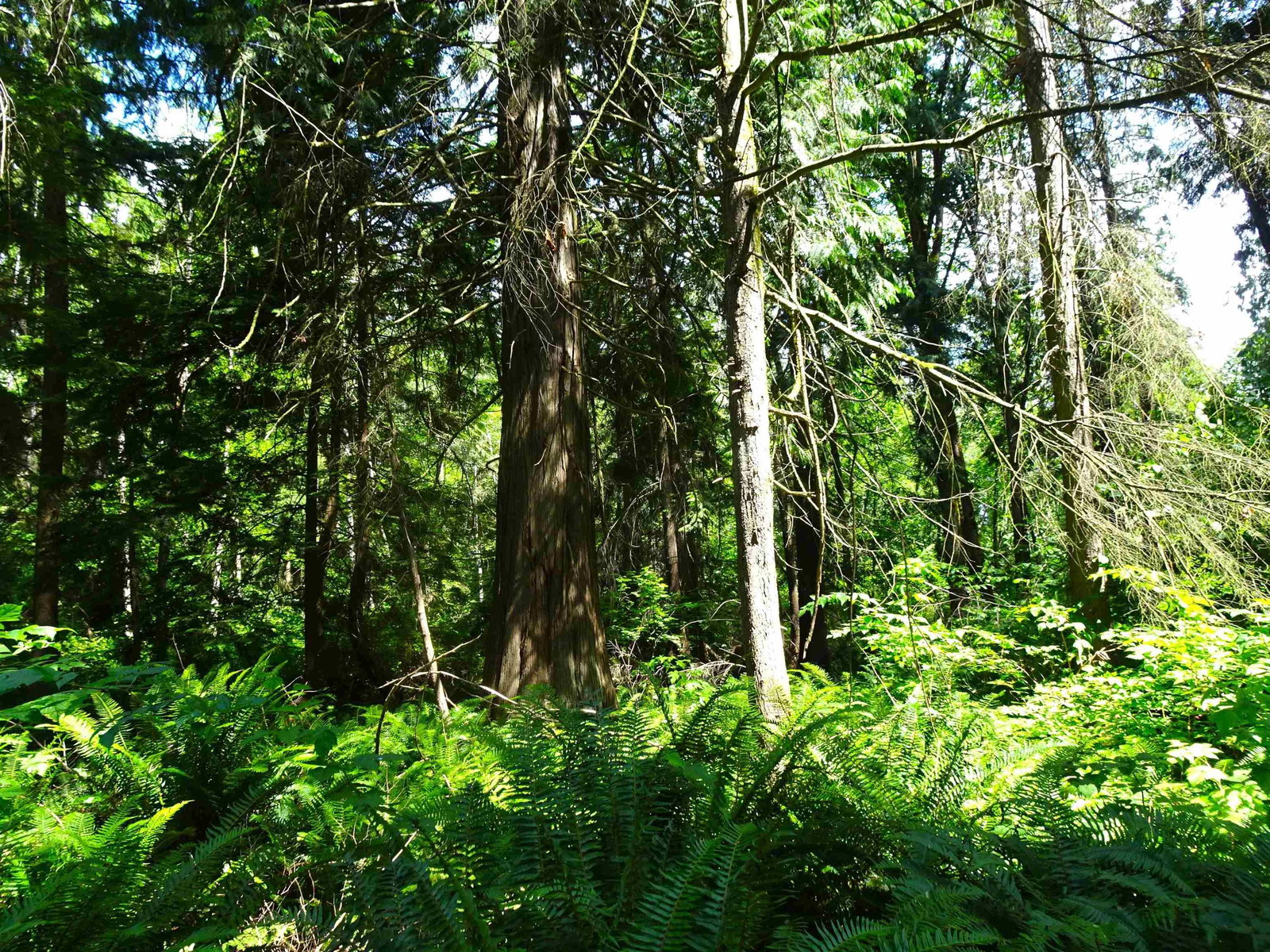 Listing Image 31
