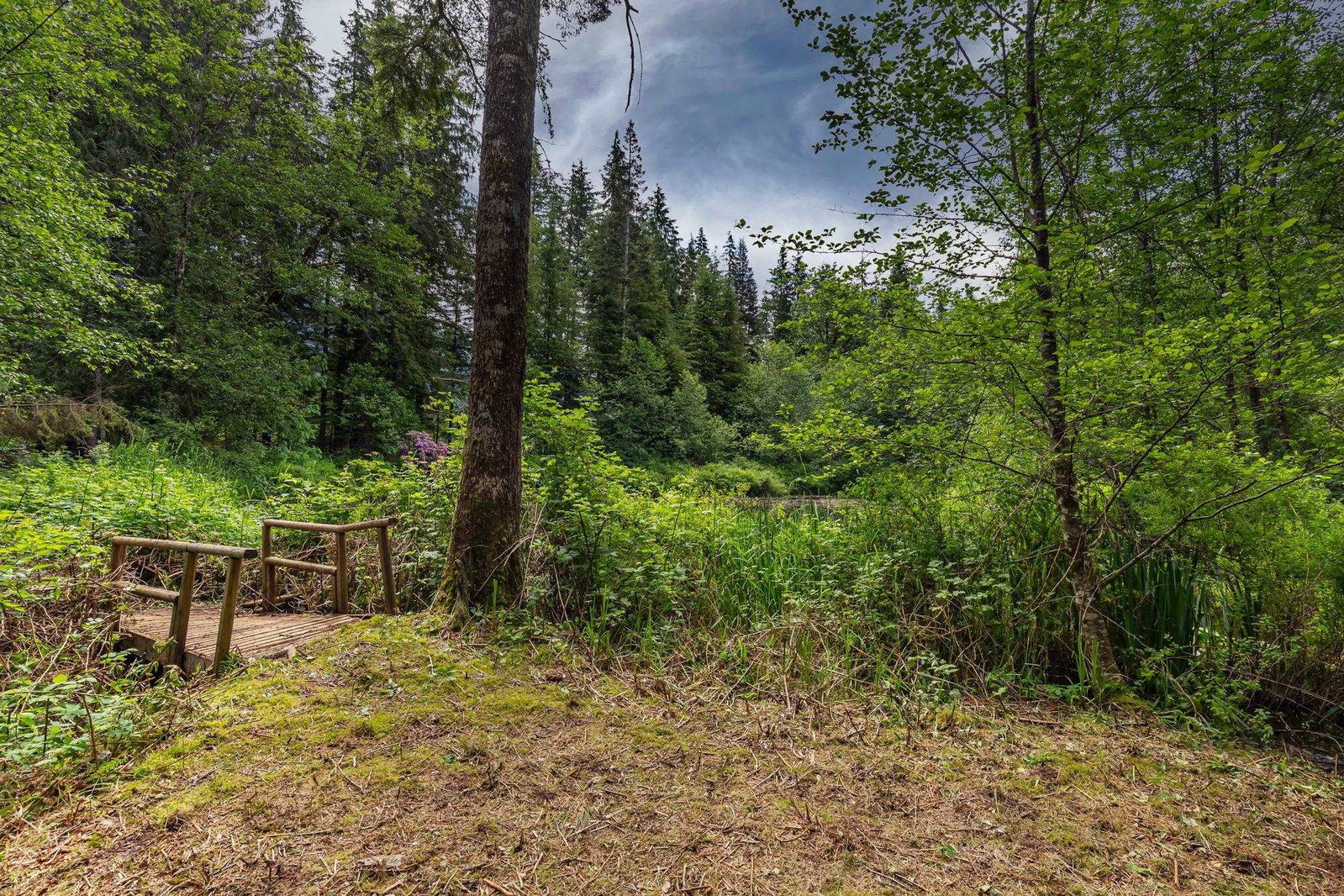 Listing Image 24