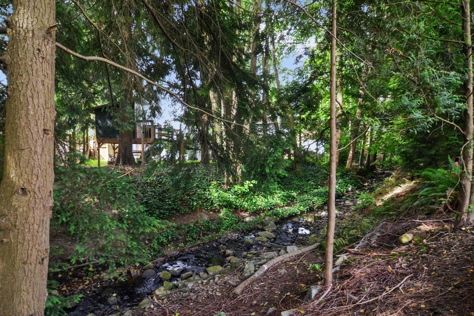 Listing Image 29