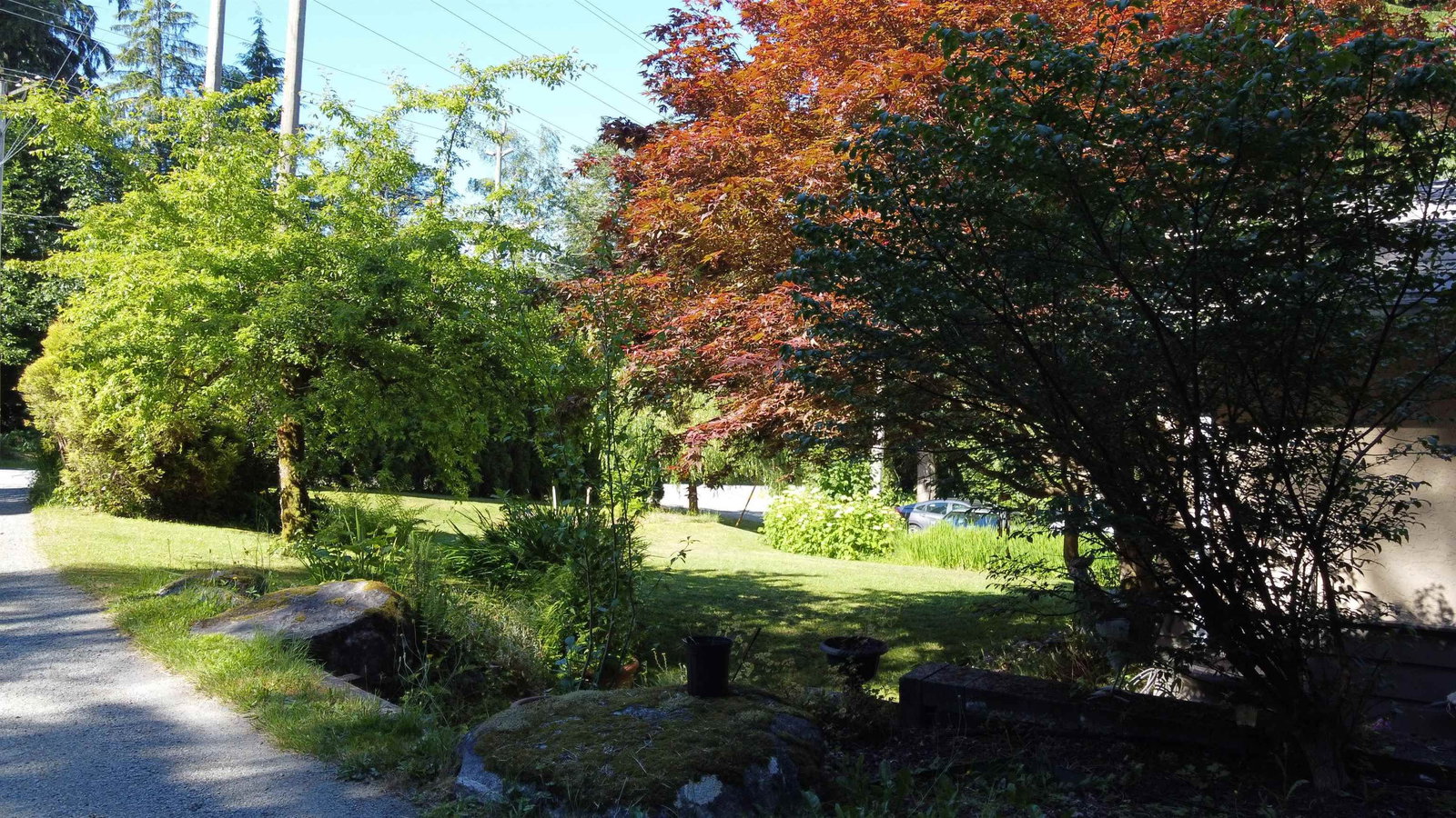 Listing Image 36