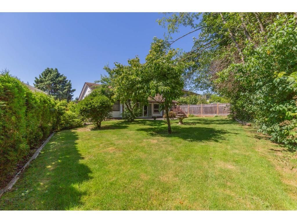 Listing Image 34