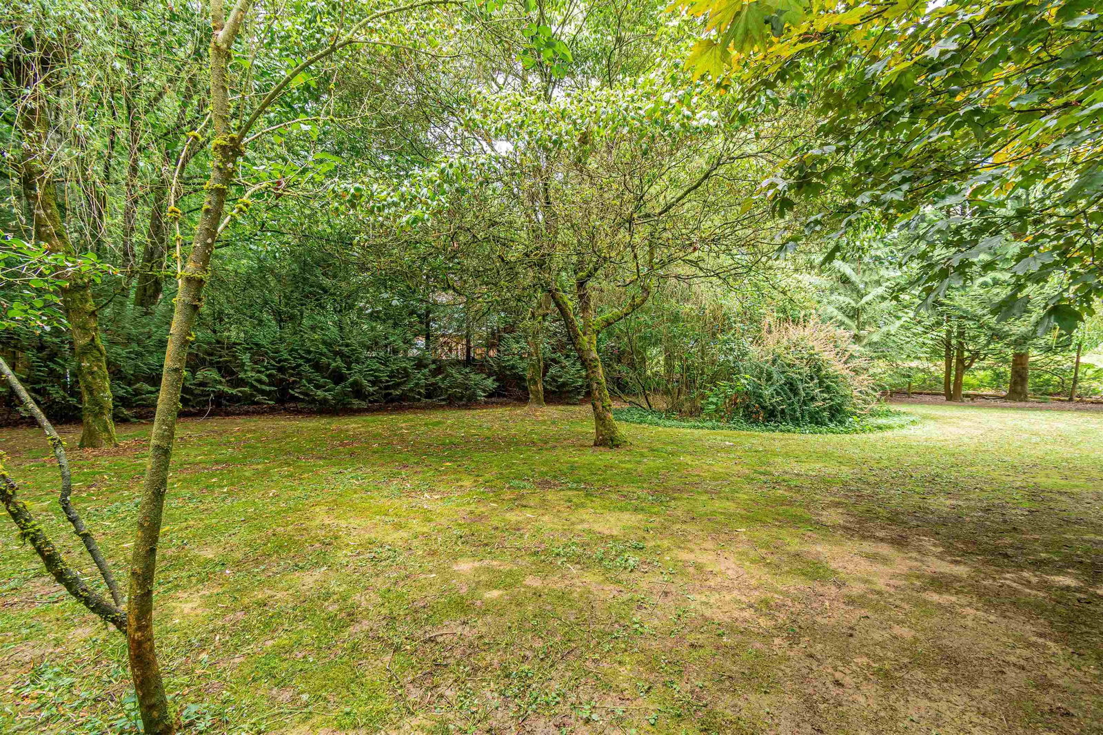 Listing Image 26