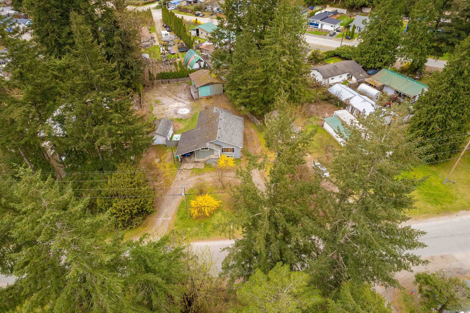 Listing Image 13