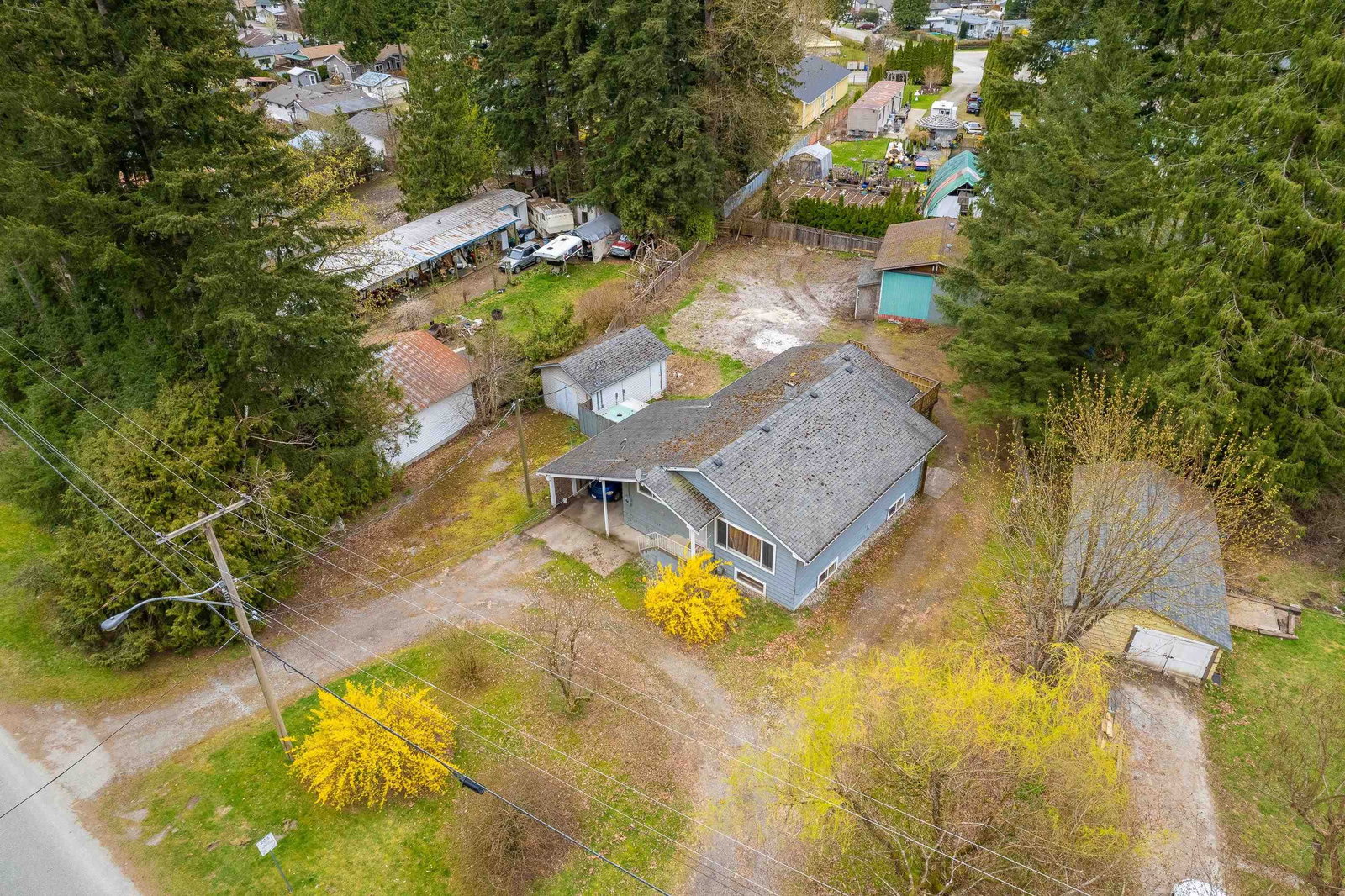 Listing Image 3