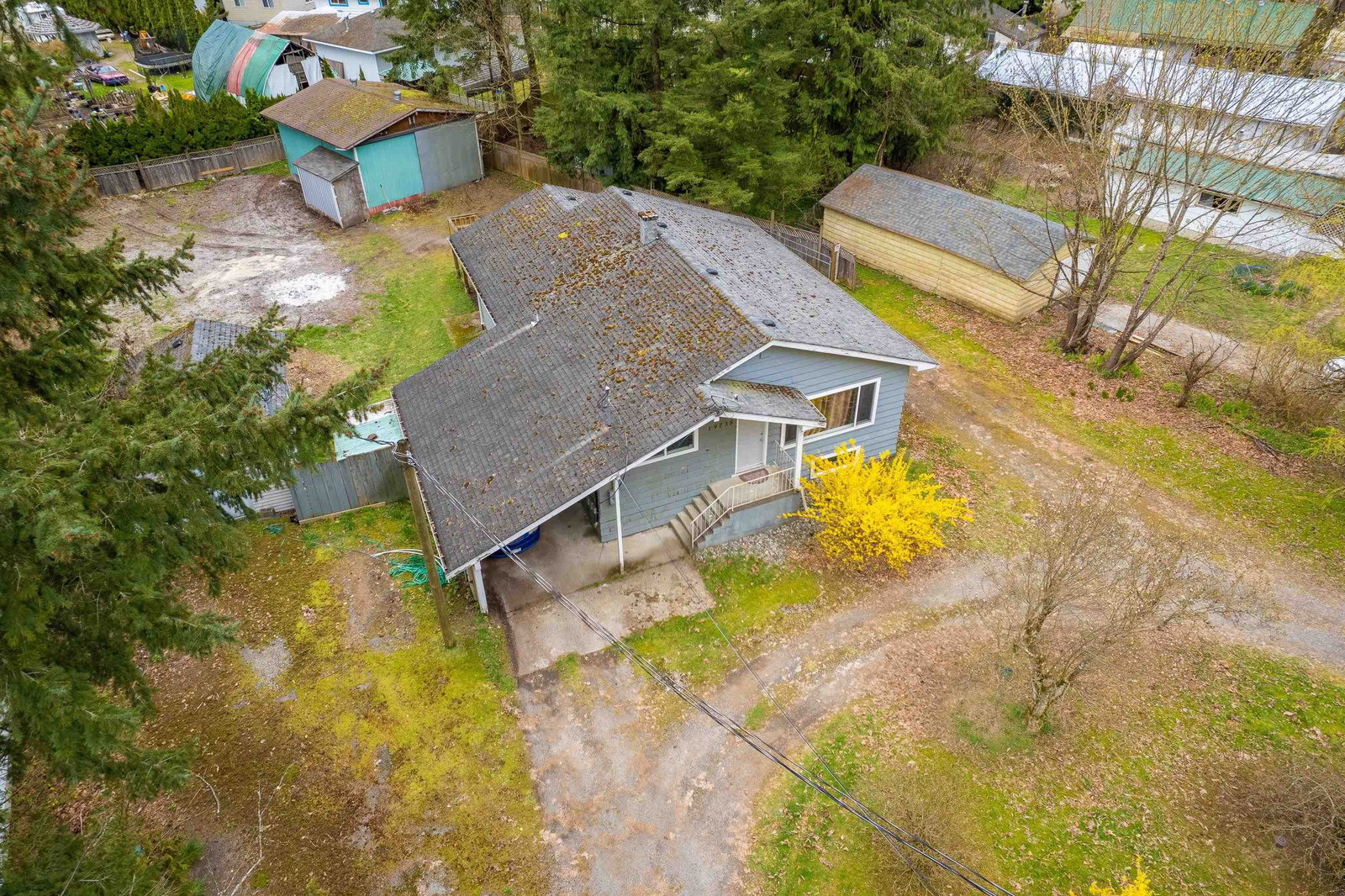 Listing Image 4
