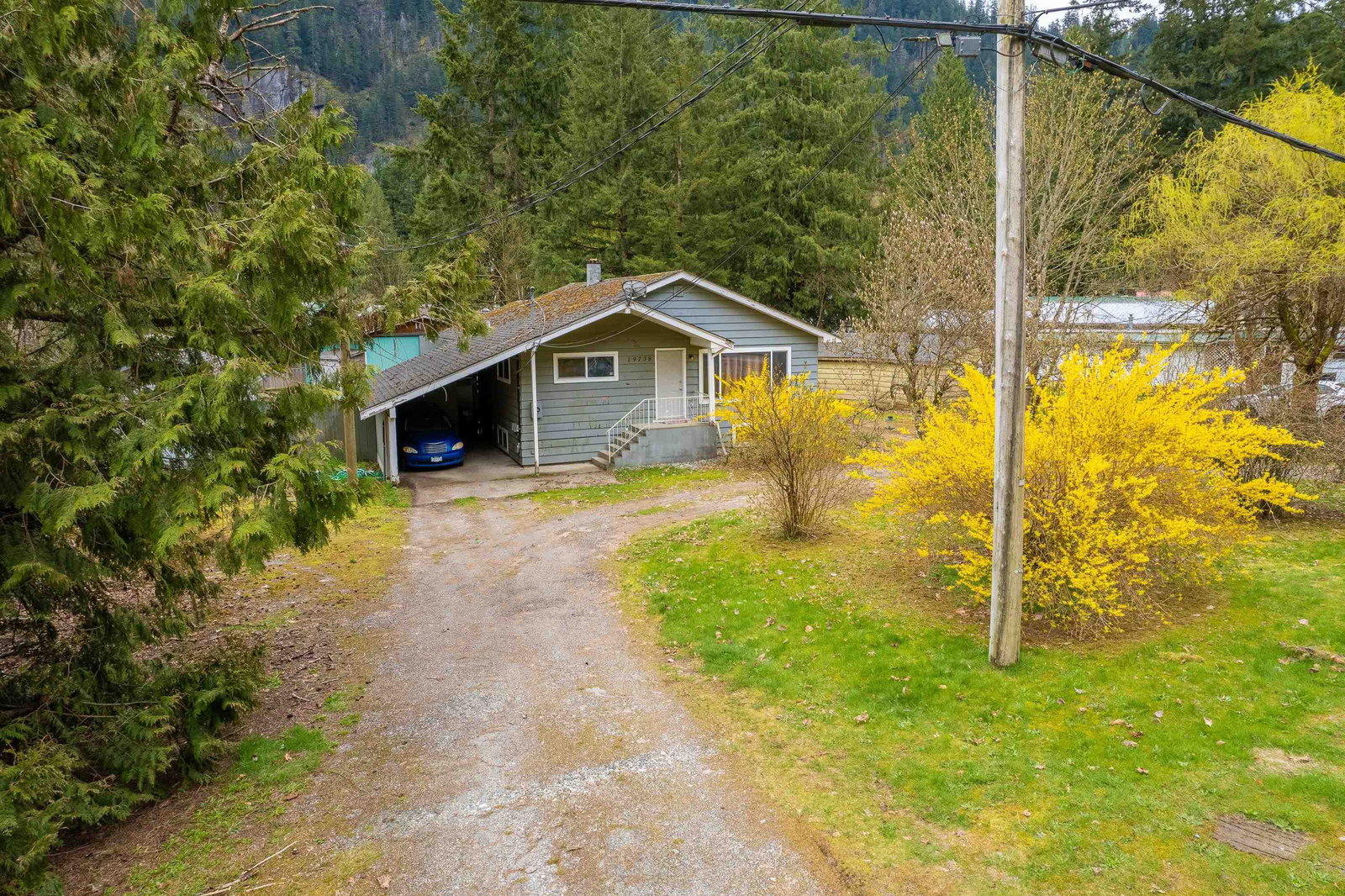 Listing Image 5