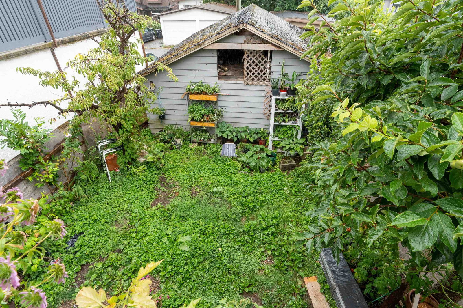 Listing Image 12