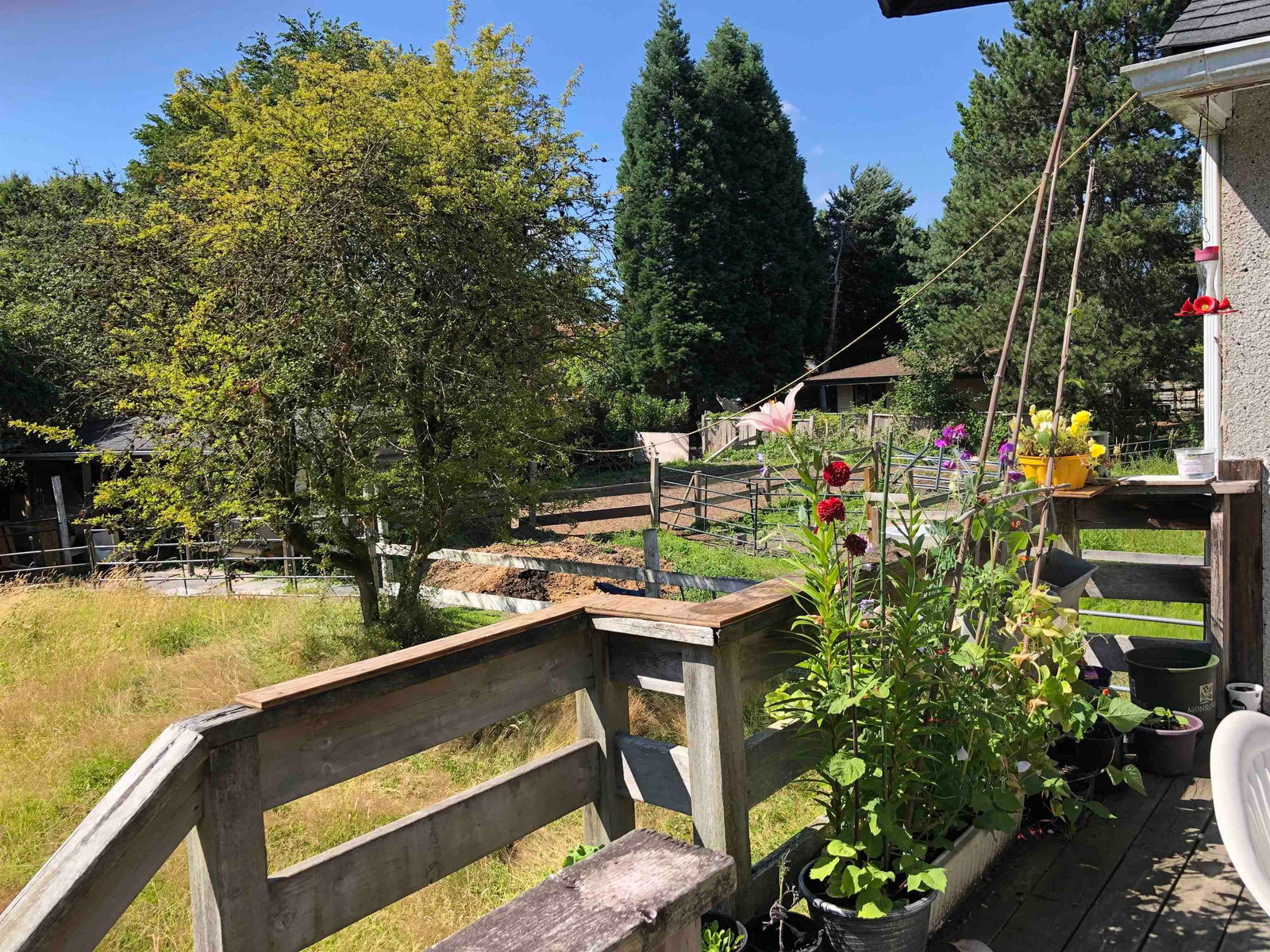 Listing Image 14