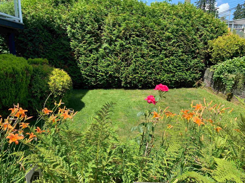 8167 Cedar Street, Mission, V2V 3N4 | Image 2