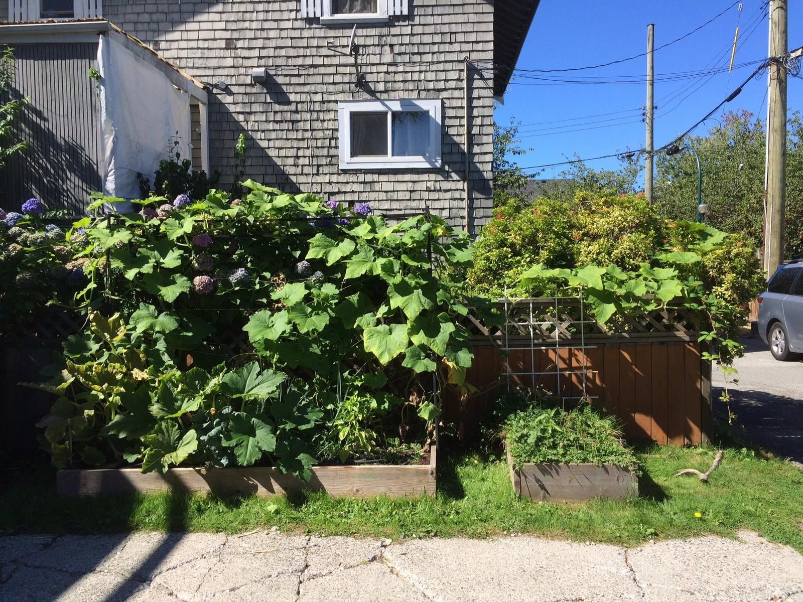 Listing Image 34