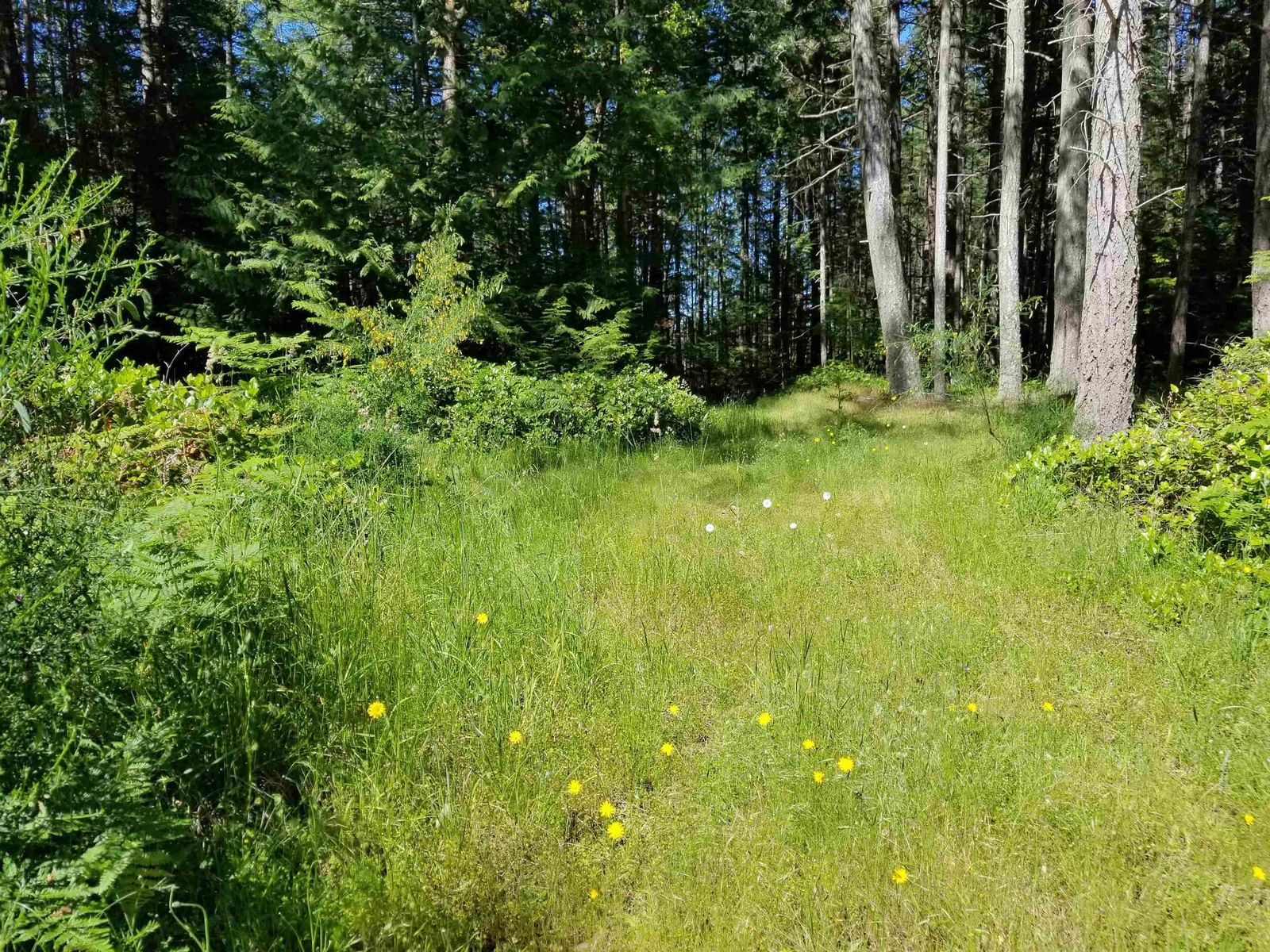 Listing Image 14