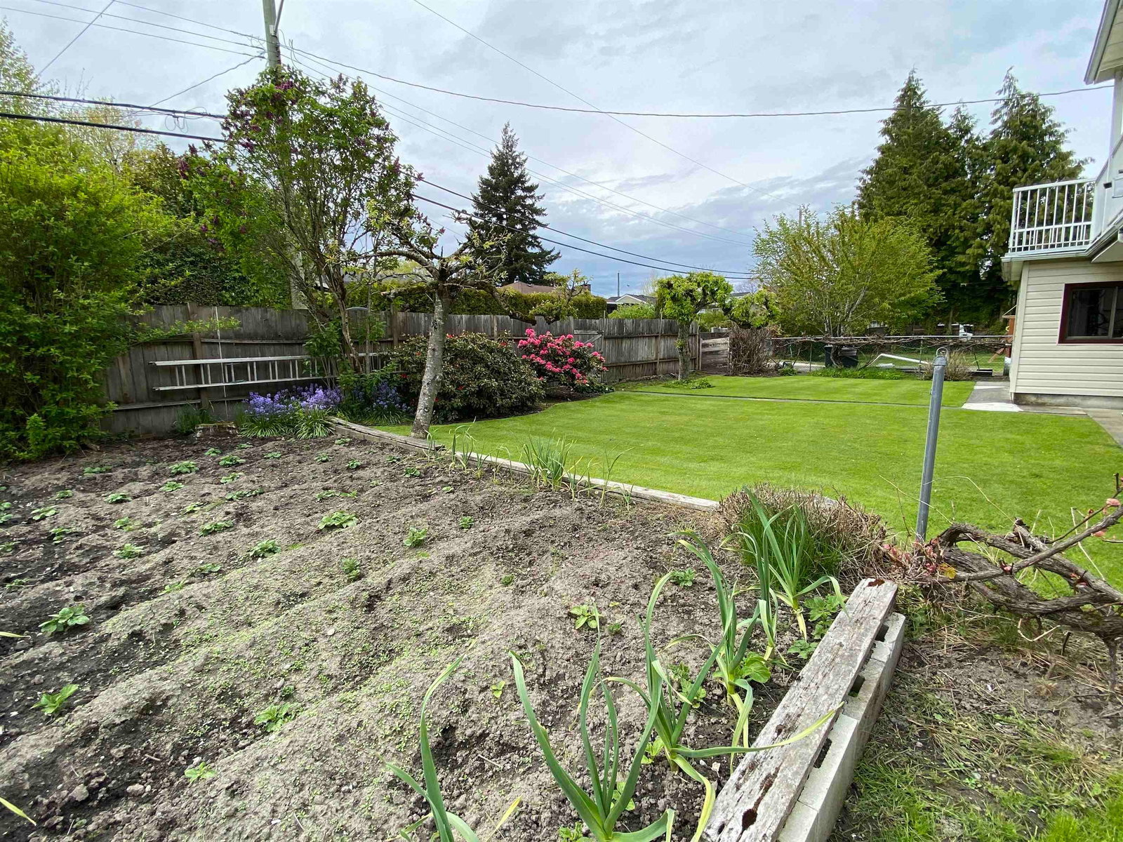 Listing Image 35