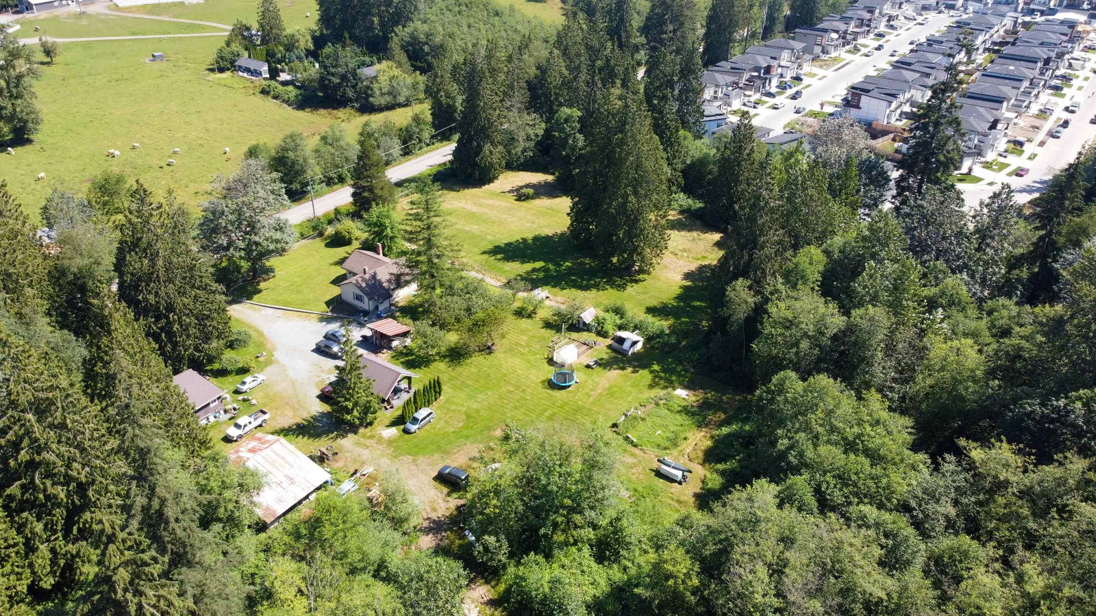 Listing Image 16