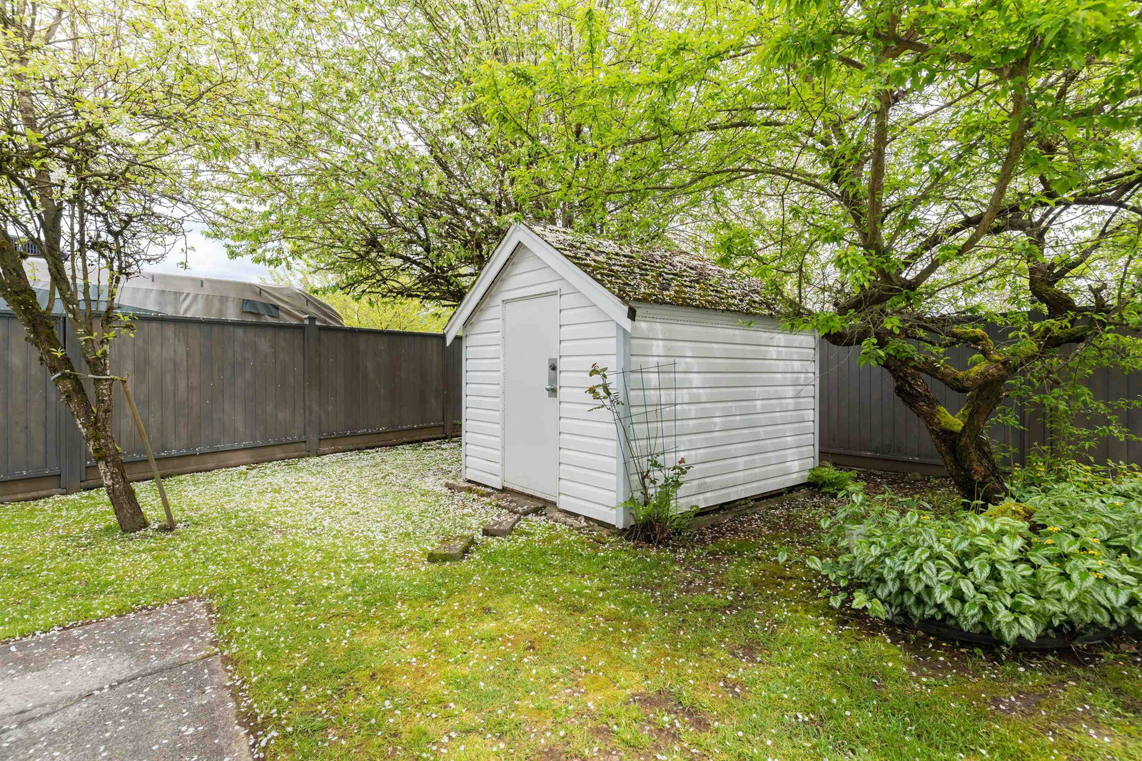Listing Image 37