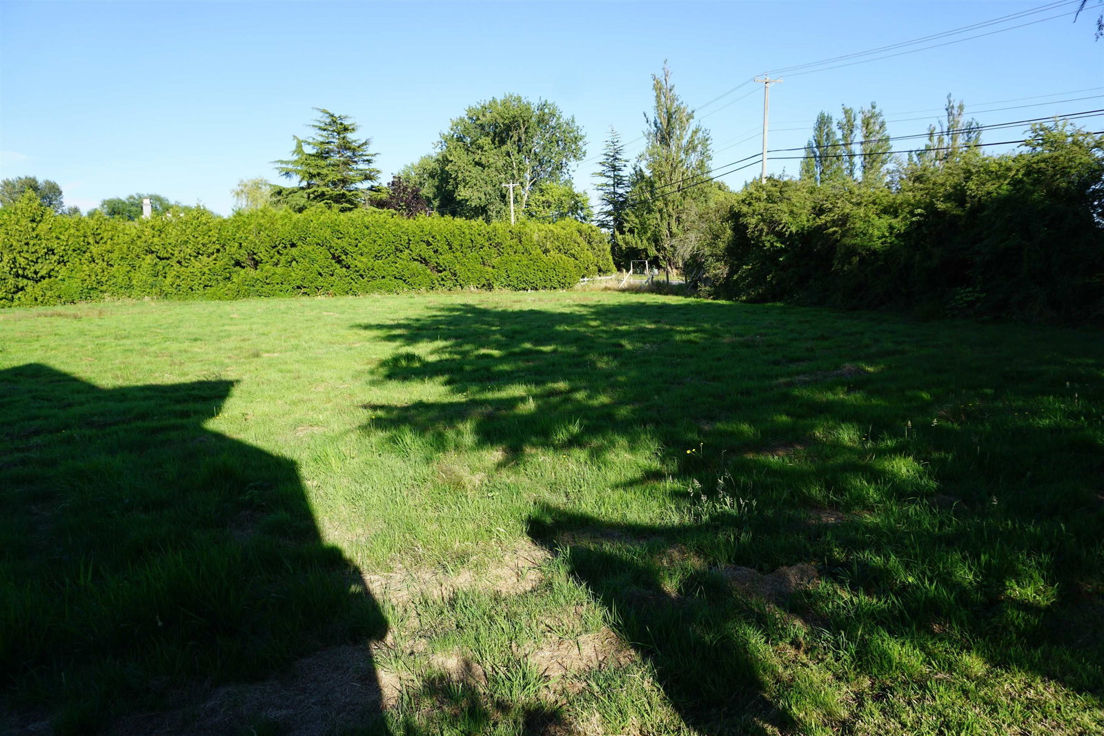 Listing Image 29