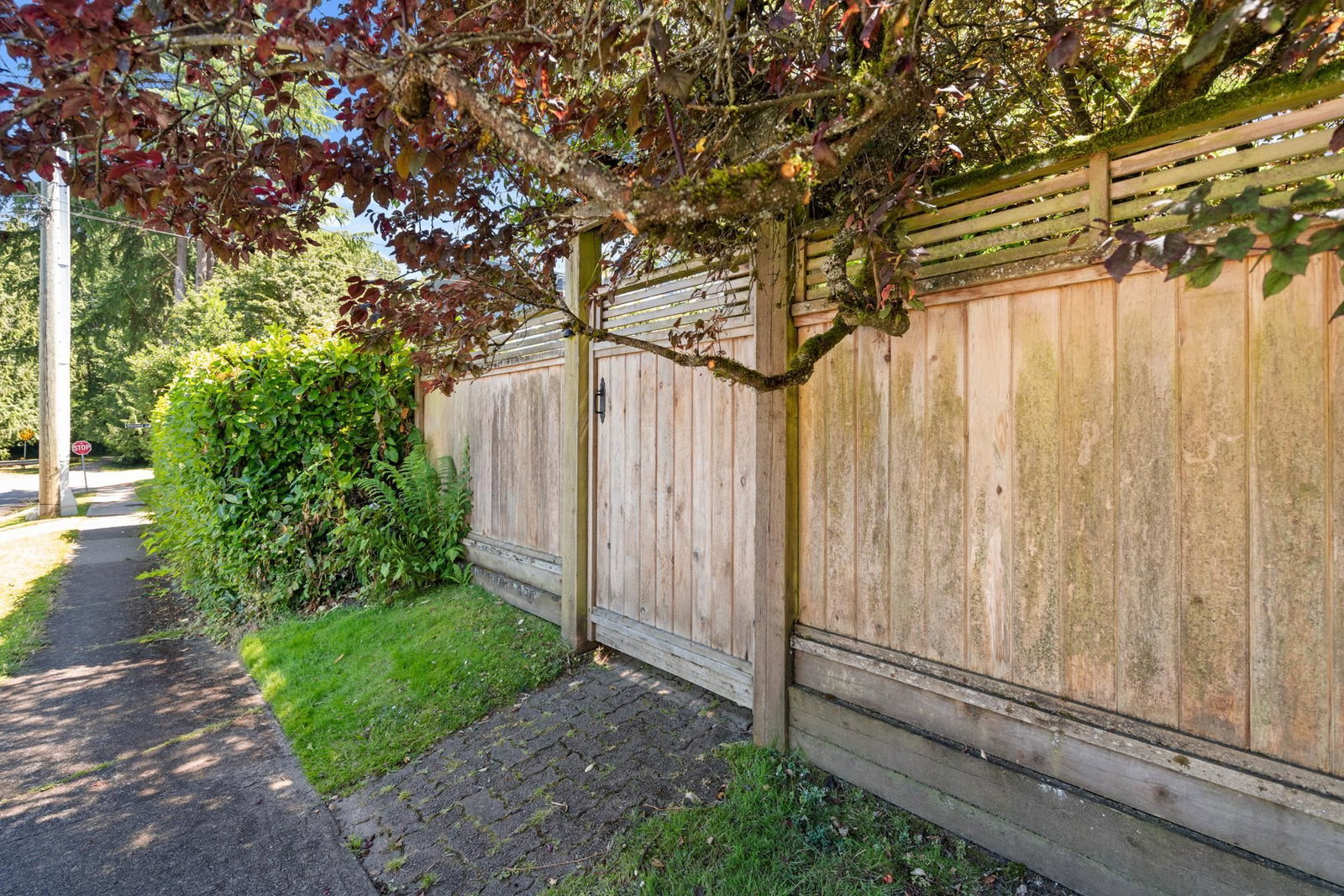 Listing Image 38