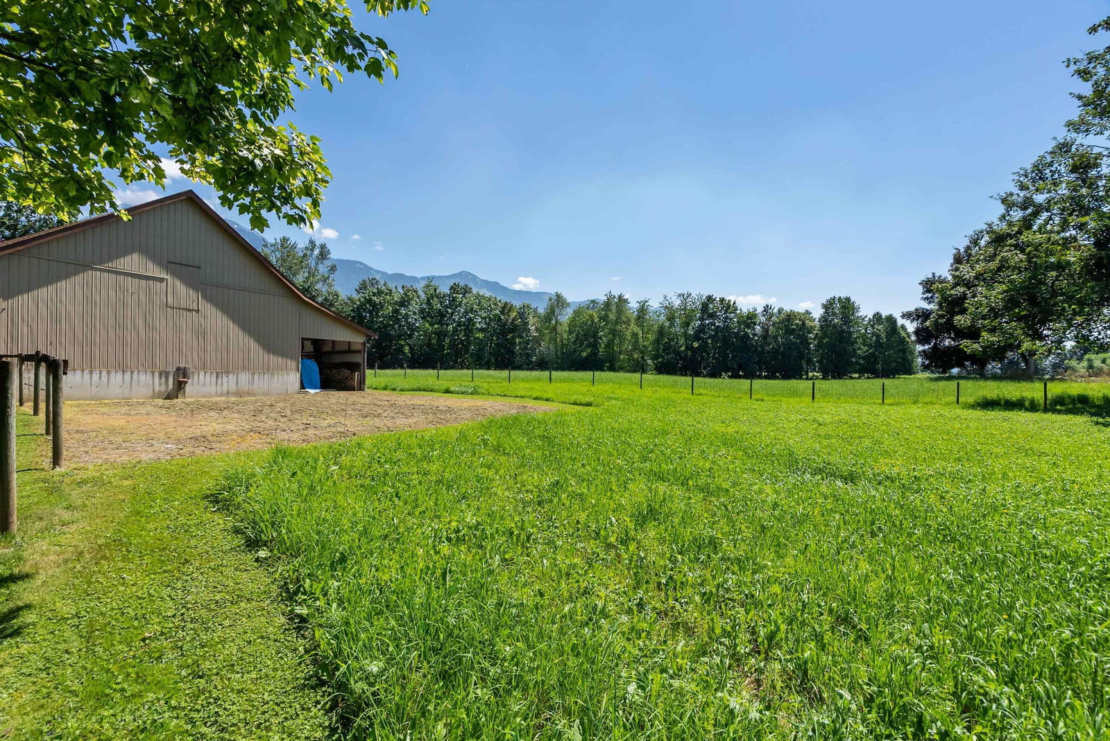 Listing Image 33