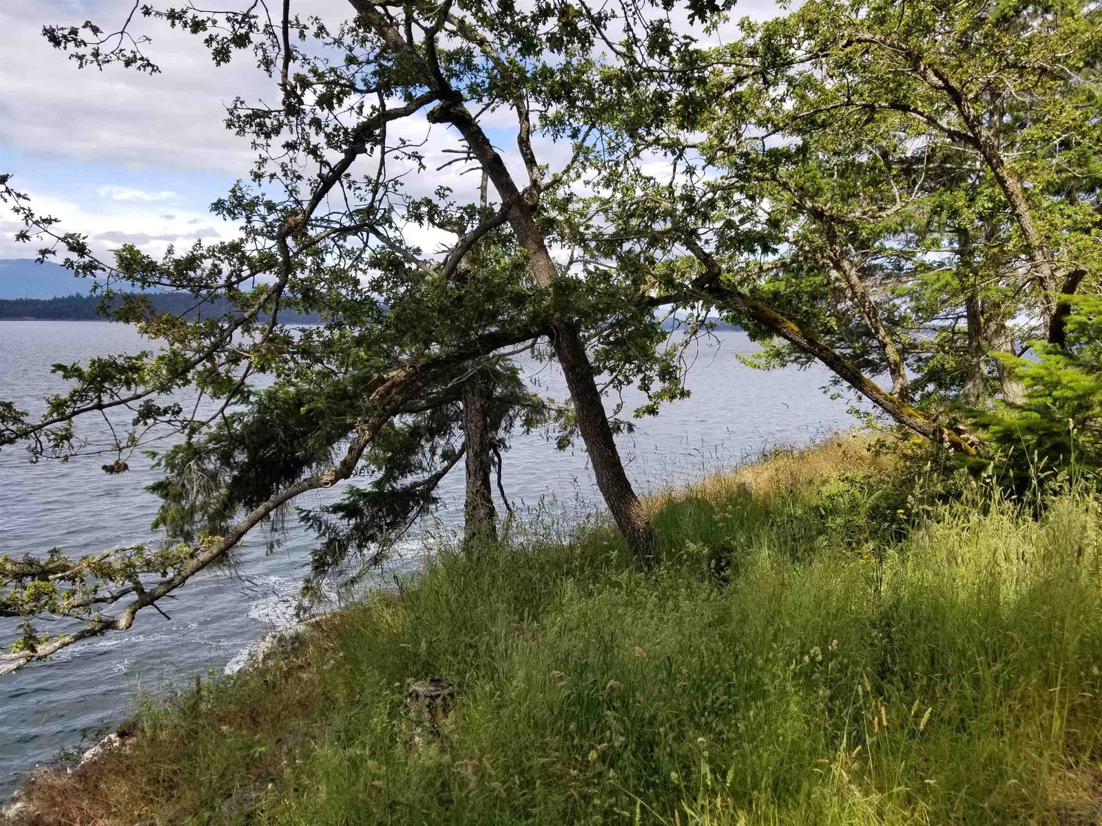 Listing Image 34