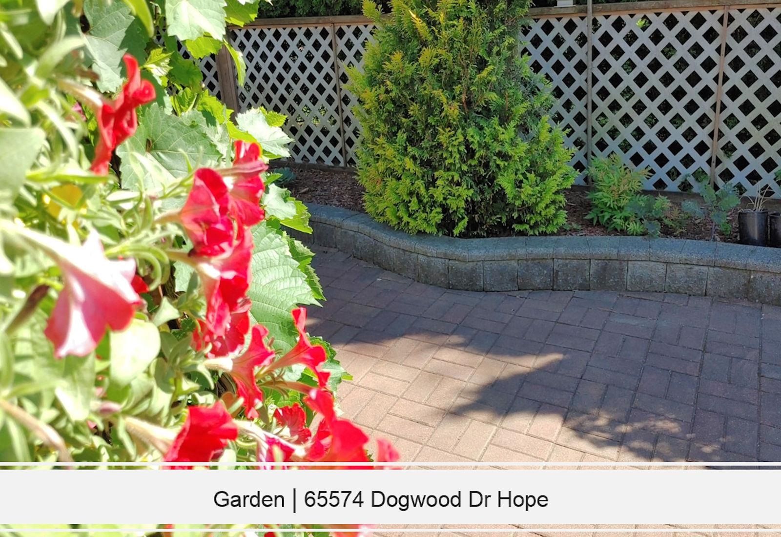Listing Image 31