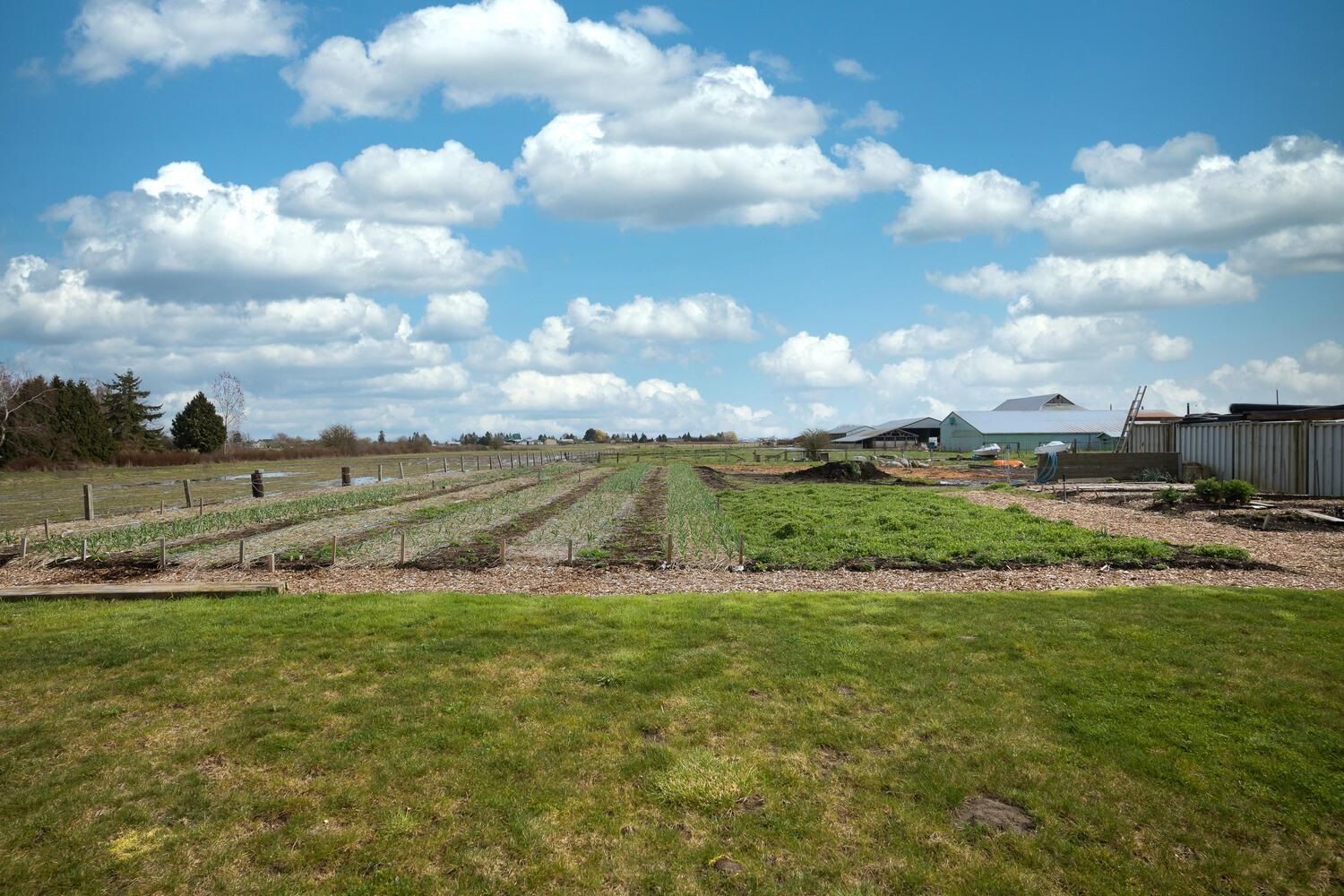 Listing Image 30