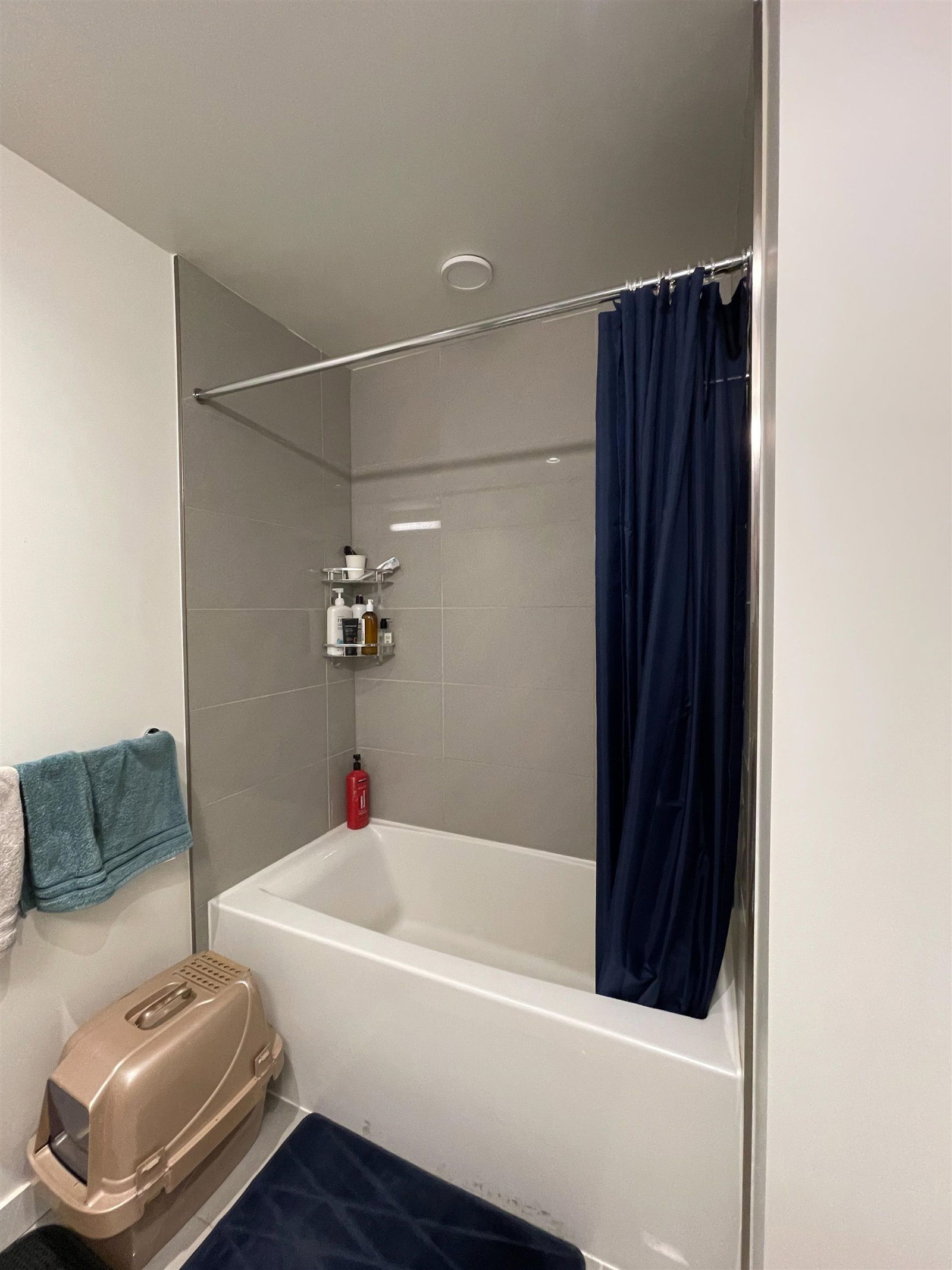Listing Image 11