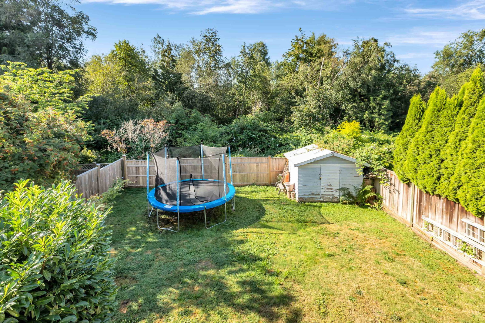 Listing Image 31