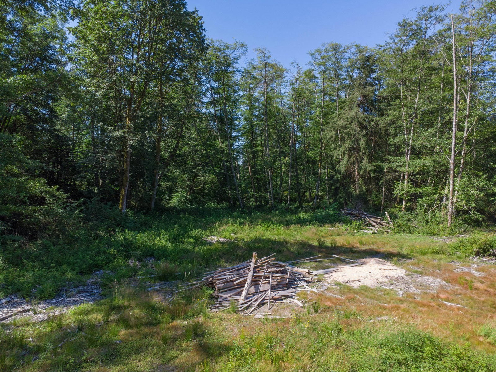 Listing Image 24