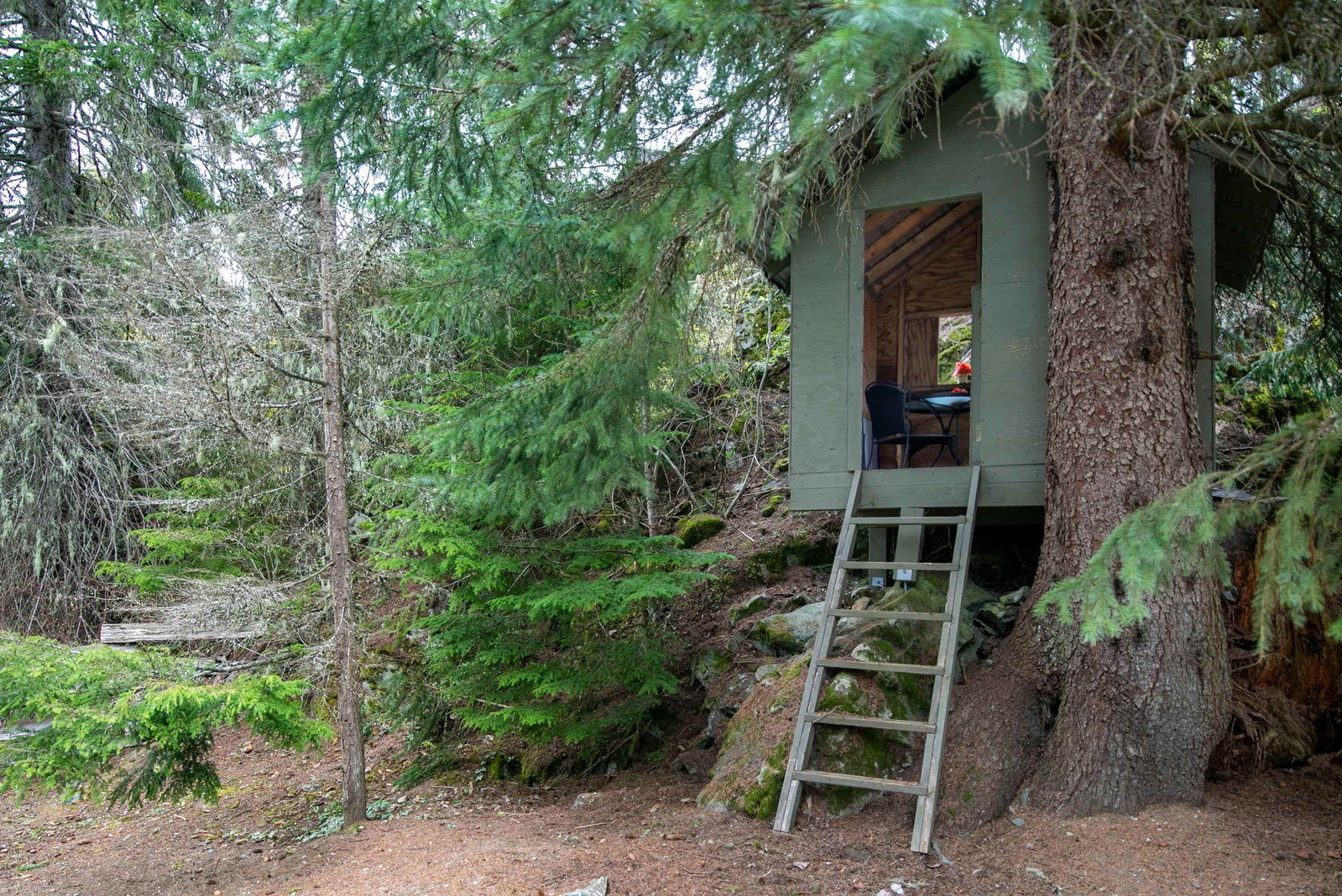 Listing Image 12