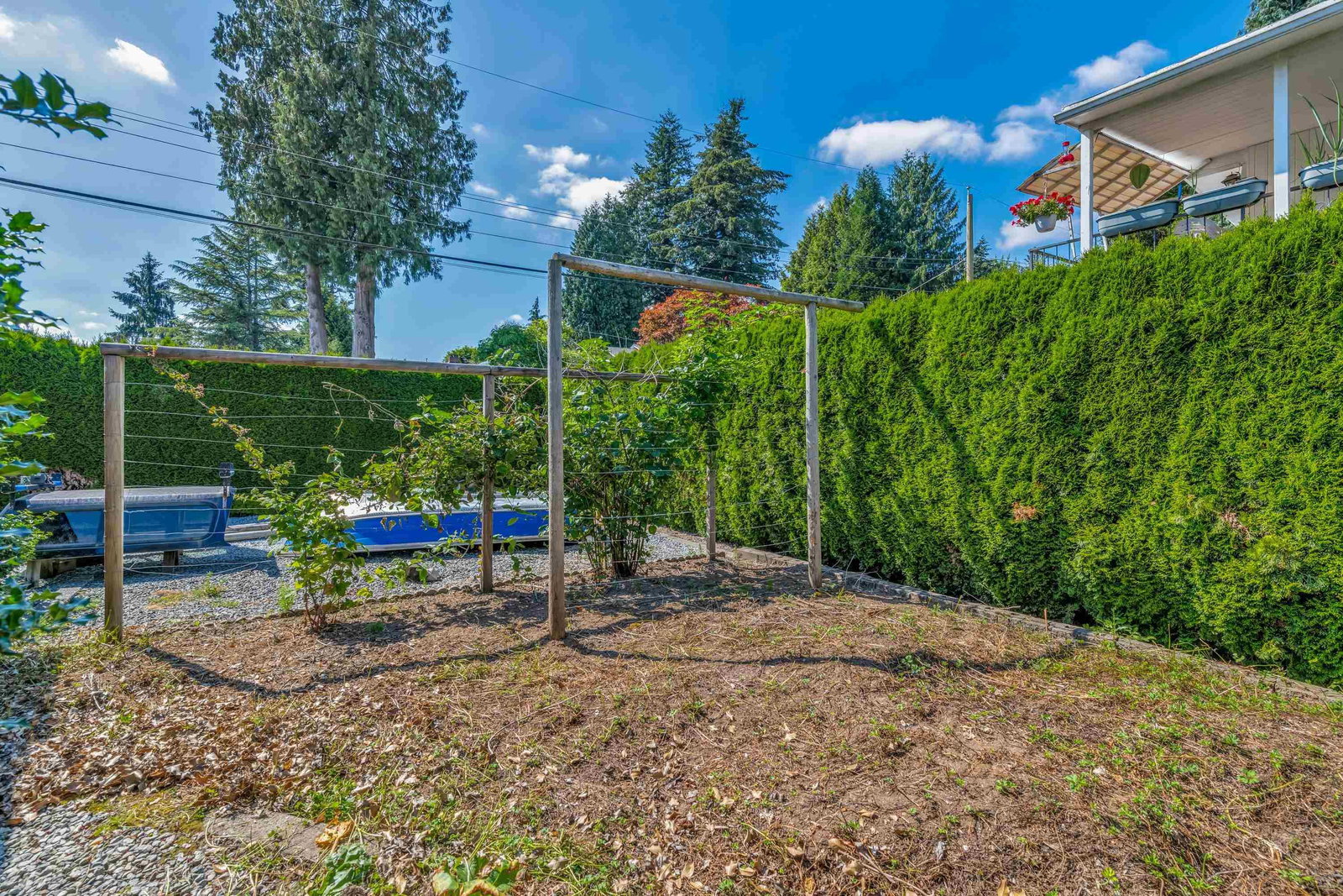 Listing Image 38