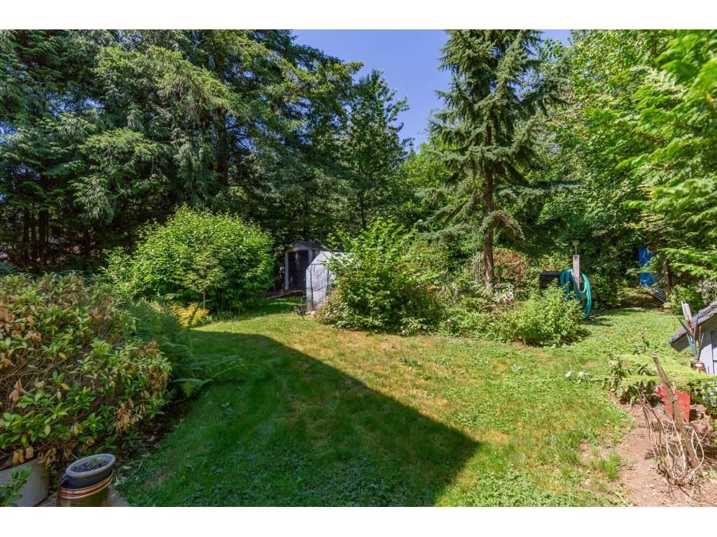 Listing Image 35