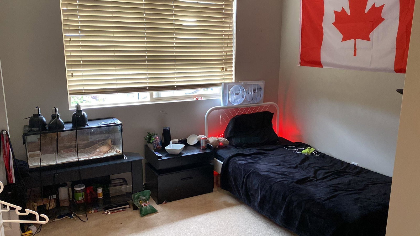 Listing Image 13